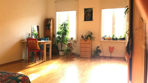 A sweet one room apartment with lots of light. Has a nice small kitchen and a ba  Cozy flat next to a park, close to center Entire rental unit vacation rental 36942750