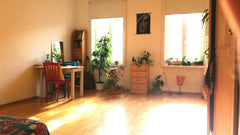 A sweet one room apartment with lots of light. Has a nice small kitchen and a ba  Cozy flat next to a park, close to center Entire rental unit vacation rental 36942750