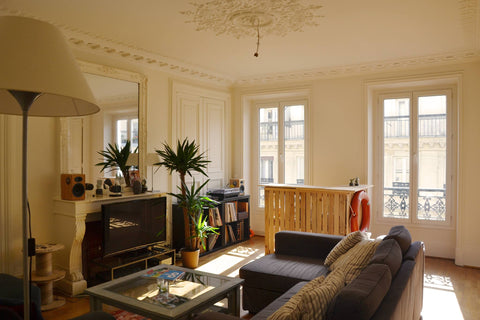 Au 4ème étage d'un immeuble Haussmannien de 1840, l'appartement de 120 m2 est id Paris, France Bright Flat Between OPERA & MONTMARTRE Entire rental unit vacation rental 21061761