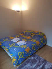 Chambre à louer dans petit appart' sympa pour amateurs de voyage de passage sur  Lyon, France Chambre dans le centre de Lyon ! Private room in rental unit vacation rental 20732580