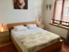 If you pick our home for your stay in Ghent, you don't book just a place to slee Ghent, Belgium Stylish room in a warmhearted home + city garden Private room in home vacation rental 14053072
