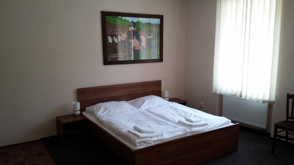 Penzion U Švejků se nachází v historické čtvrti Praha 1, přímo u tramvajové zast Prague, Czechia Penzion U Švejků - pokoj 1 Private room in bed and breakfast vacation rental 45149626