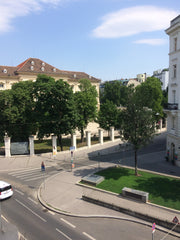 Newly renovated classic Viennese apartment. High ceilings and splendid view of t  Elegant newly renovated studio apartment Entire rental unit vacation rental 19756851