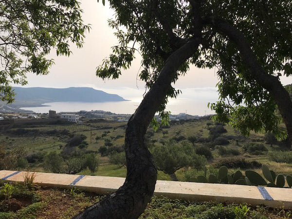 A traditional Karpathian guest house in the country side, ideal for a family or  Kallithea, Greece Karpathian guest house Entire home vacation rental 24384089