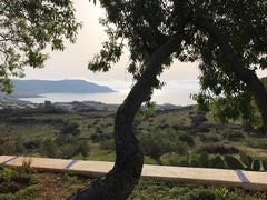 A traditional Karpathian guest house in the country side, ideal for a family or  Kallithea, Greece Karpathian guest house Entire home vacation rental 24384089