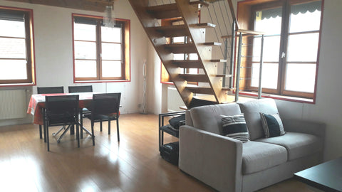 Bel appartement de 64 m2 situé à 10 minutes a pied de la place des Terreaux, pro Lyon, France Lyon 1er, 10 min à pied de la place des Terreaux Entire rental unit vacation rental 21830413