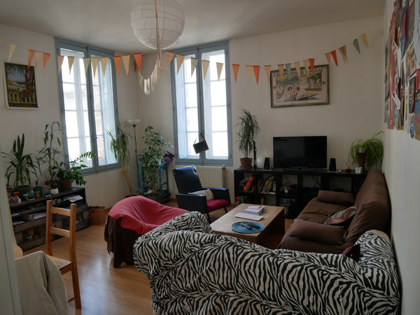 Nous vous proposons l'une des chambres de l'appartement.<br />En plein centre, l Bordeaux, France Chambre dans grand appartement / Plein centre Private room in rental unit vacation rental 8861266