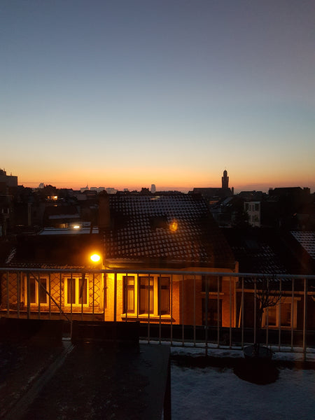 Étant à l'étranger pour 2 mois,  je vous propose de profiter de mon petit studio Brussels, Belgium Studio avec vue sur les toits de Bruxelles Entire rental unit vacation rental 43872728