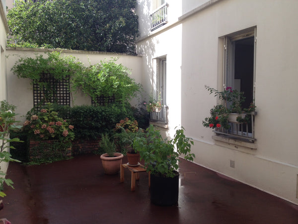 Functional and very quiet at the end of a flowery courtyard at ground level - RU Paris, France Charm & Quiet in Daguerre - 2 rooms Entire rental unit vacation rental 5883721