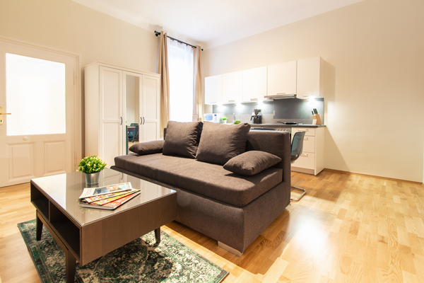Internet und Fernsehen werden zurzeit nicht angeboten.<br />Nach einem erlebnisr Vienna, Austria CheckVIENNA - Lindengasse - 2Room Entire rental unit vacation rental 47061840