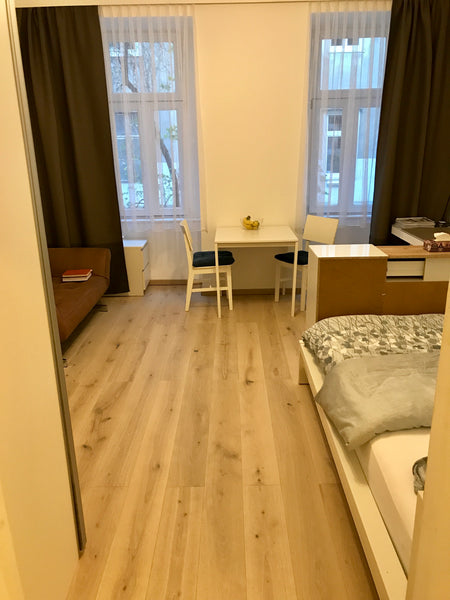 I rent my newly furnished one-bedroom apartment between the city center and the  Vienna, Austria Cosy apartment in the city center Entire rental unit vacation rental 21546107