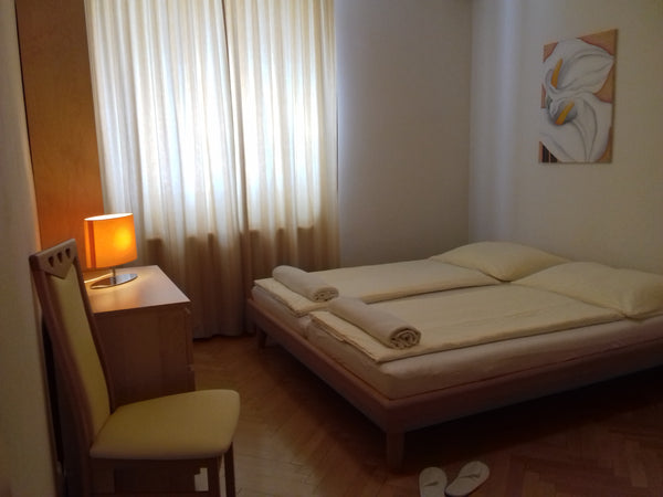 Ruhiges, sonniges Apartment das sich hervorragend auch für einen Business Aufent  2-Zimmer Apartment Nähe Schloss Schönbrunn Entire rental unit vacation rental 20768975