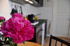 Perfekt ferie i København finder du i Brønshøj, der ligger suverænt i forhold ti Dyreborg, Denmark Flot bolig ved city med køkken, wi-fi og parkering Entire rental unit vacation rental 35748558