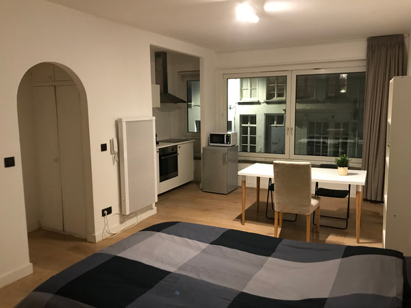 The studio is located in the city center of Antwerp, so it's well situated for t  Cosy Casa Entire rental unit vacation rental 40376618