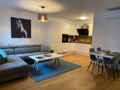 Das Apartment ist mit einem geräumigen Wohnzimmer, einer offenen Küche, einem Sc Vienna, Austria Modernes Apartment mit top Anbindung Entire rental unit vacation rental 53665547