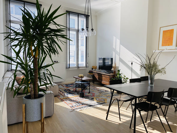 Gelegen tussen het historische centrum van Antwerpen en het hippe Zuid, waar je  Antwerp, Belgium Lichtrijk appartement tussen Centrum en hippe Zuid Entire rental unit vacation rental 580093126969734700