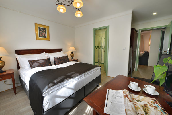 Due to the fact that the apartment is served by tha organization, cleaning? wash Hlavní město Praha, Czechia 5. Nobles Apartments Entire rental unit vacation rental 43718462