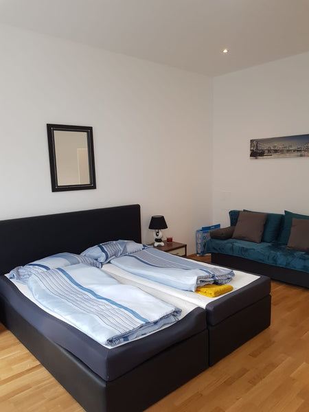 This well-located and central apartment is suited for everyone! The Danube river Vienna, Austria Excellent 2BR Apt. Central and Close to the Danube Entire rental unit vacation rental 702545858077106740