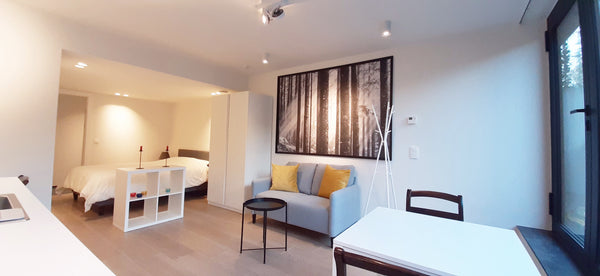 Logement indépendant, design et chaleureux, dans une nouvelle maison d'architect Kraainem, Belgium CENTRAL PARK - Studio 317b Entire guesthouse vacation rental 40723531