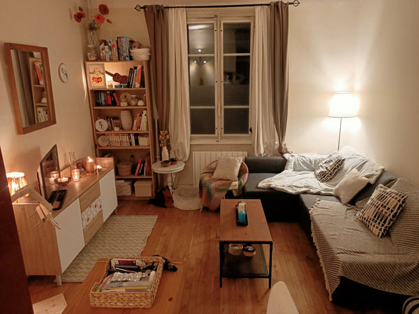 Logement accessible depuis la gare en 15 min en empreintant le tram T3. Centre v Lyon, France Appartement cocooning Lyon Entire rental unit vacation rental 771683871325332706