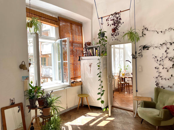 In der wunderschönen und stilvoll eingerichteten 150 qm Wohnung haben wir zwei n Vienna, Austria beautiful apartement in a wonderful viennese flat Private room in rental unit vacation rental 658709075792020156