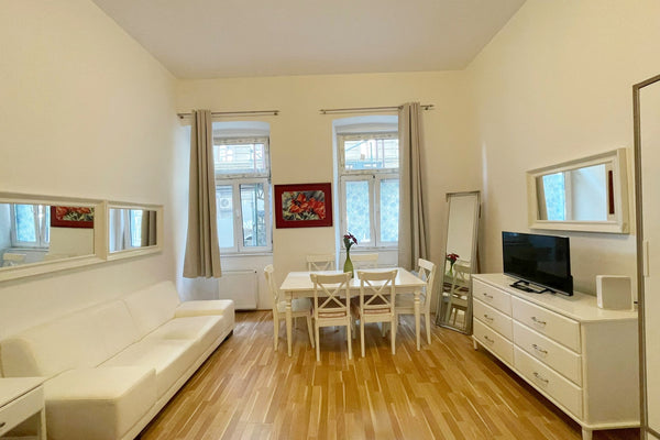 The spacious 45m2 apartment is a great option for traveling friends and lovers.   Stylish 1BR Apt. with the best location Entire rental unit vacation rental 706420846866774018