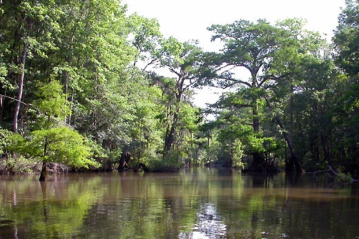 Alabama State Lands Bartram Canoe Trail