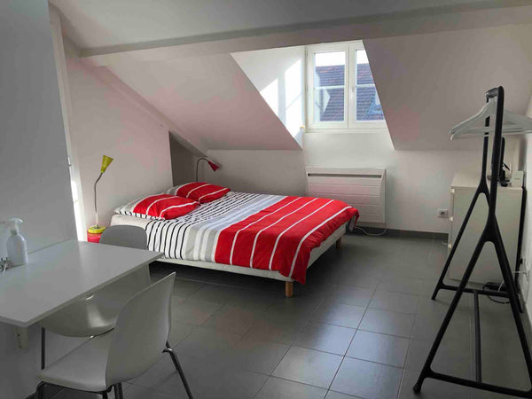 Studio refait à neuf, situé au 6ème étage d’un immeuble ancien, sous les toits.  Lyon, France Studio confortable au coeur de Lyon Entire rental unit vacation rental 22058776
