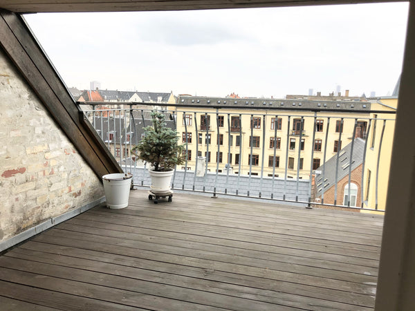Beautiful, bright penthouse at Frederiksberg with private roof terrace. Close to Frederiksberg, Denmark Penthouse with Private Rooftop Terrace Entire rental unit vacation rental 48050258