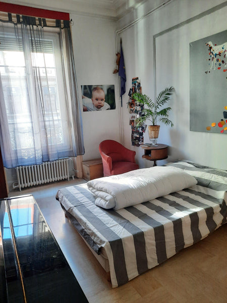 Profitez d'un logement élégant et central, directement sur le métro Saxe-Gambett  Centre Ville : Chambre dans bel appartement ancien Private room in rental unit vacation rental 53337444