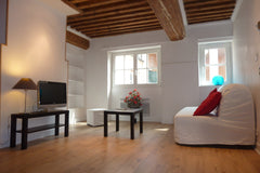 Je vous accueille dans mon appartement de 30m² situé dans le quartier des antiqu Grenoble, France confortable sofa in a charming flat Entire rental unit vacation rental 11593593