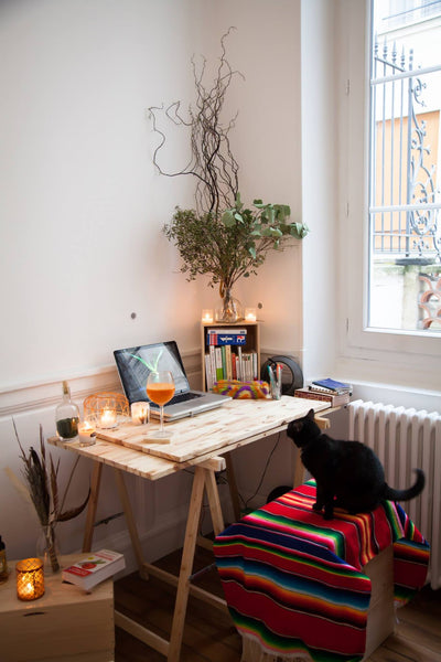 Mon logement est proche du Bon Marché et du merveilleux jardin du Luxembourg. Vo  Beau 2 pièces lumineux au coeur de Saint germain Entire rental unit vacation rental 13806956