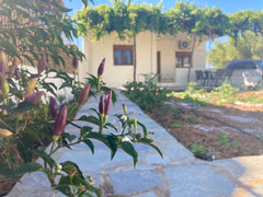 The "Memories house" is located in gournes,between Hrakleion and Hersonissos and  The Memories House Gournes Entire cottage vacation rental 28223253