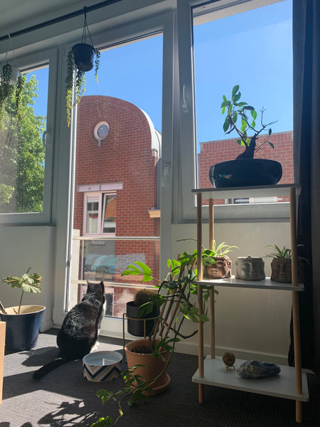 Ontspan en kom tot rust in deze vredige omgeving. Ons huisje is op 10 minuutjes  Moerbeke-Waas, Belgium Gezellig en ruim rijhuis naast de Schelde Entire townhouse vacation rental 665992868108918659