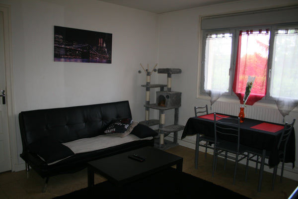 Bonjour, nous louons la chambre de notre appartement avec accès aux pièces commu Lyon, France T2 de 38m2 dans le quartier de Fourvière Private room in rental unit vacation rental 20651880