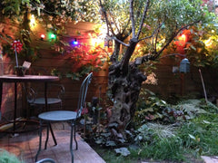 A10 minutes de Montmartre, résidence calme privée, du lavoir dont Emile Zola par Paris, France Loft/studio-montmartre with Garden! Entire loft vacation rental 9890486