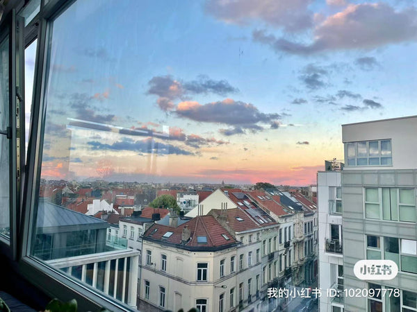 Keep it simple at this glamorous room with a 1.4 m double bed and a 1 m sofa bed Ixelles, Belgium Convenient and Charming room in center Ixelles Shared room in rental unit vacation rental 684475326539071694