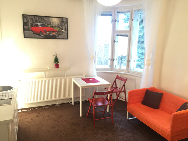 This 30 square m. room has a double bed,kitchen,sofa,TV. Flat is located on the  Prague, Czechia Lovely flat with beautiful view of city center ❤️ Entire rental unit vacation rental 22257667