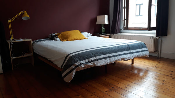 Idéalement situé, à Saint Gilles, à deux pas de la place Julien Dillens et du Pa Saint-Gilles, Belgium Chambre spacieuse et confortable à Saint Gilles Private room in townhouse vacation rental 43891776