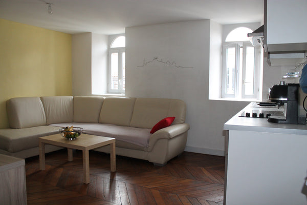 Logement situé en plein coeur de la presqu'île, à 20 mètre de la place des Terre Lyon, France Appartement place des TERREAUX Entire rental unit vacation rental 40171509