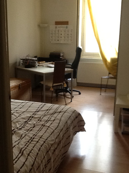 Chambre spacieuse, calme et lumineuse dans appartement propriétaire situé au tro  Chambre sur cour, cœur de ville Private room in rental unit vacation rental 9396200