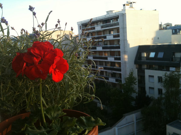 Just a step from Pere Lachaise, in quiet place, I rent punctually the chamber of Paris, France Chamber Pere Lachaise Private room in rental unit vacation rental 7012759