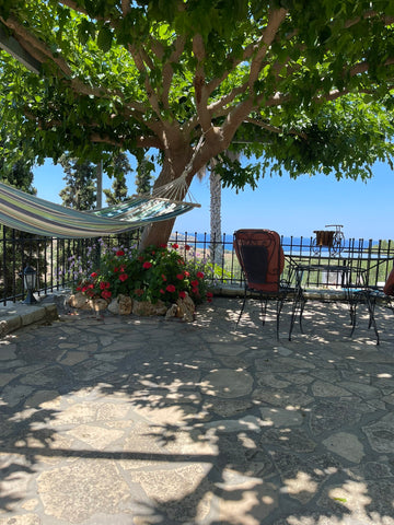 A great ,quiet place with a large yard,covered with trees for shadow,surrounded  Pitsidia, Greece Sea View Villa Diana Entire home vacation rental 50218645
