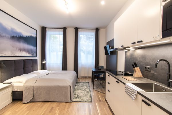 Du willst die volle Ausstattung zum kleinsten Preis? Dann ist dieses Apartment d Vienna, Austria CheckVienna - Familienplatz Mini Entire rental unit vacation rental 40298362