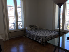 Mon logement est parfait pour les voyageurs en solo et les voyageurs d'affaires. Lyon, France Chambre privée spacieuse proche centre ville Private room in rental unit vacation rental 8592402