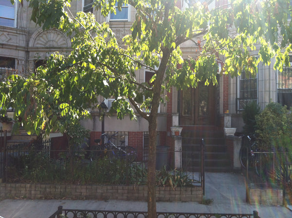 Spacious two-story home in Brooklyn, centrally located on a NYC historical stree New York, NY Home in Brooklyn · ★4.0 · 4 bedrooms · 4 beds · 2.5 baths Entire home vacation rental 4211276