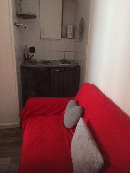 Logement en plein centre de ville paris, a 10min des Champs Elysées, La Tour Eif  Studio de 17m en plein paris Entire rental unit vacation rental 19991645