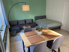 Cosy studio apartment in an excellent location. Located on the 3rd floor. (With   Cosy studio apartment in the centre of Ghent Entire rental unit vacation rental 53906000