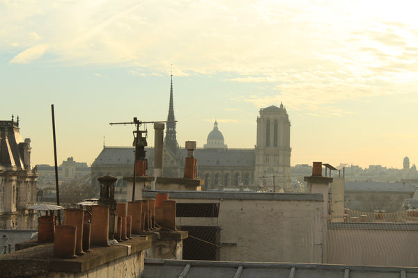 Hi all,<br /><br />I am renting my room in a beautiful flat in the heart of Pari Paris, France Huge flat in the trendy Marais ! Private room in rental unit vacation rental 9964846