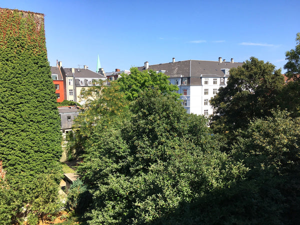 Cosy apartment in vibrant inner Nørrebro. 10 mins walk to the city center and cl Copenhagen, Denmark Cosy and central Nørrebro flat Entire rental unit vacation rental 26563989